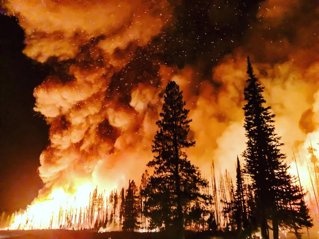 How Europe's Devastating Wildfires Are Being Fought