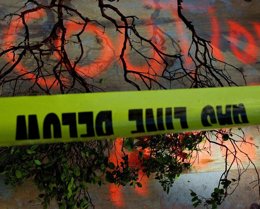 Birmingham Woman Dies After Bus Stop Stabbing