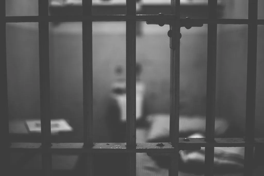 Julius Malema sentenced to five years over 2018 gun firing
