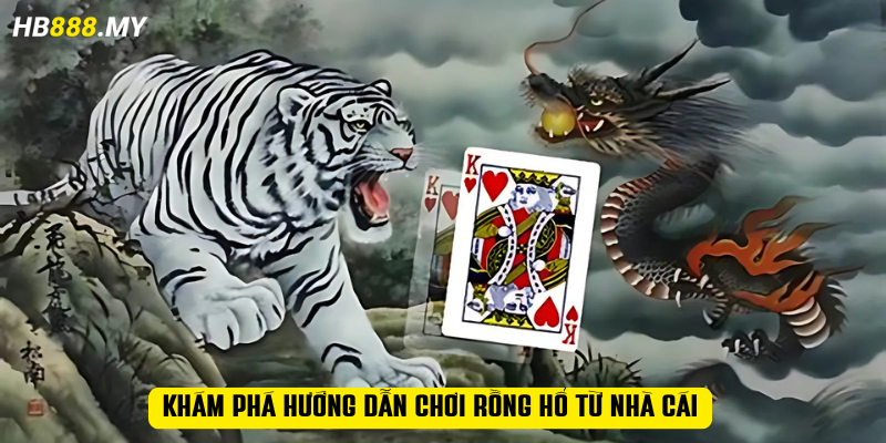 Khám phá hướng dẫn chơi Rồng Hổ từ nhà cái