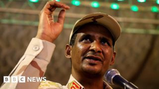 Sudan war: RSF commander Gen Mohamed Hamdan Dagalo promises probe as anger mounts over el-Fasher atrocities