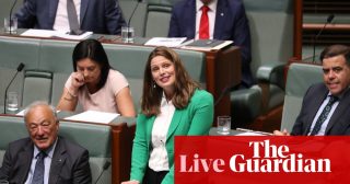 Former Adelaide MP named new ALP president – as it happened