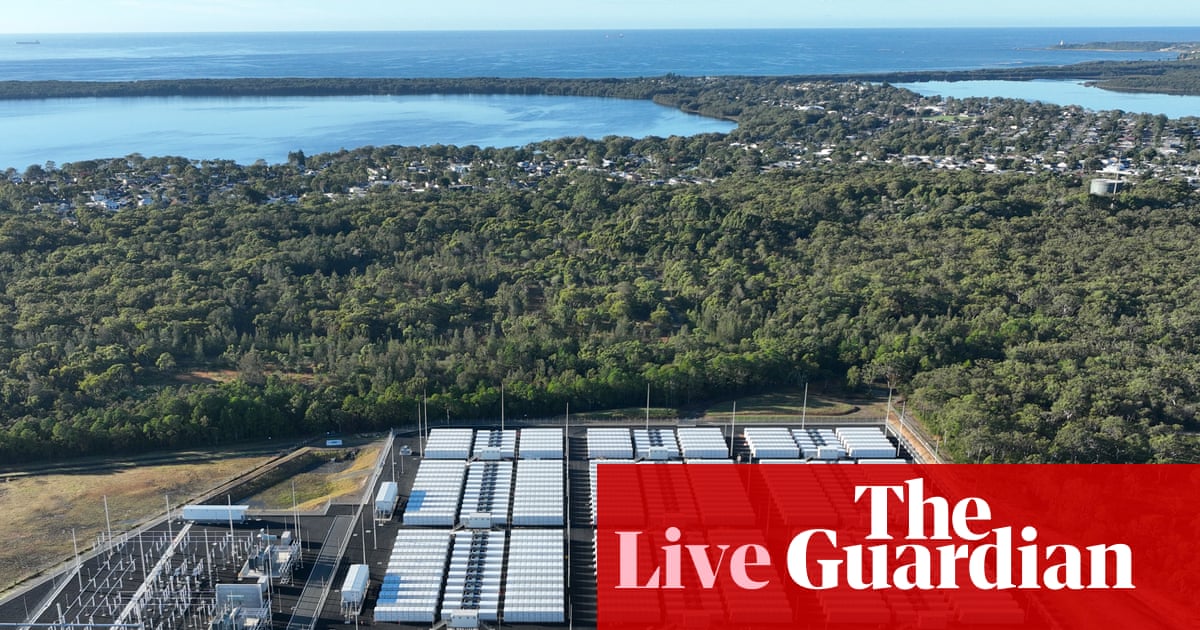 Australia news: Waratah battery fault; household confidence rises